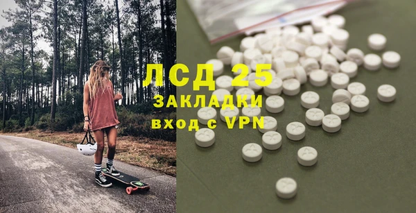 гидра Майский