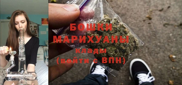 гидра Майский